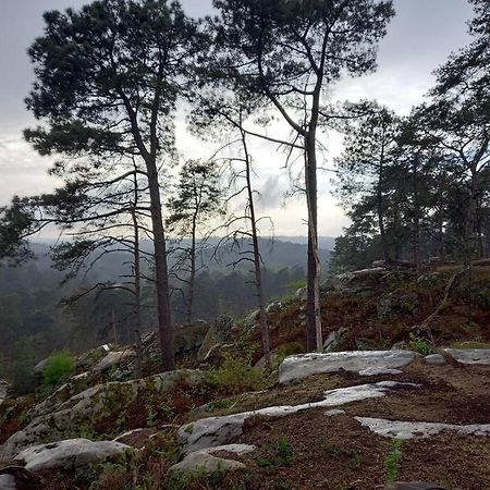 Gite Les Petites Bruyeres Veneux-les-Sablons Zewnętrze zdjęcie